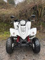Kymco Maxxer 250cc 5200 kilomètres Premier propriétaire, Motoren, 249 cc, 1 cilinder, 12 t/m 35 kW