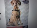 Veiligheids gordel voor hond, Dieren en Toebehoren, Ophalen of Verzenden, Zo goed als nieuw