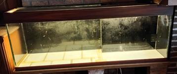 Aquarium gratis beschikbaar voor biedingen