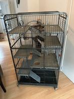 Chinchilla kooi, Dieren en Toebehoren, Ophalen of Verzenden, Zo goed als nieuw, Kooi, Chinchilla