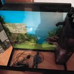 Aquarium, Dieren en Toebehoren, Reptielen en Amfibieën | Toebehoren, Ophalen, Gebruikt