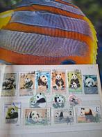 Postzegels panda beren, Enlèvement