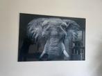 Print op glas Olifant, Antiek en Kunst, Ophalen
