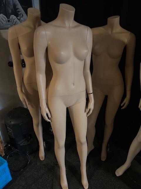 OUDEJAARS OPRUIMING !!!!! etalagepoppen 50 euro per stuk, Vêtements | Femmes, Vêtements Femmes Autre, Enlèvement