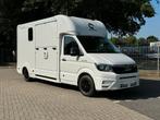 NIEUWE M.A.N TGE Paardentransporter, Ophalen, Nieuw, Overige materialen, Overige typen