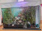 Aquarium met accessoires, Dieren en Toebehoren, Ophalen, Gebruikt, Gevuld zoetwateraquarium