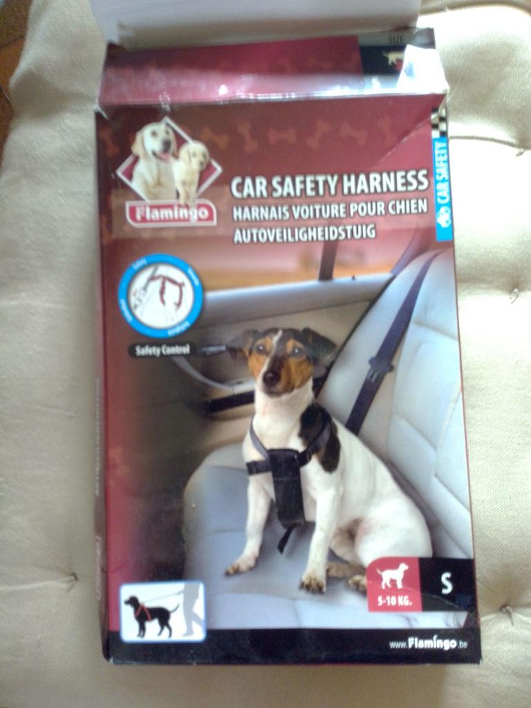 Harnais chien, Animaux & Accessoires, Enlèvement ou Envoi