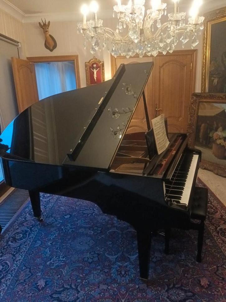 Wegens verhuis te koop prachtige Sauter Vleugel., Muziek en Instrumenten, Piano's, Vleugel, Ophalen of Verzenden