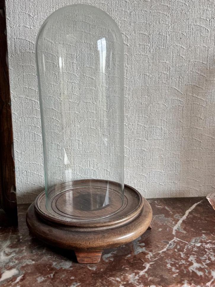 Glazen stolp, Huis en Inrichting, Woonaccessoires | Stolpen, Ophalen