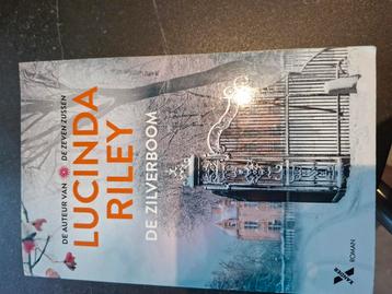 De zilverboom beschikbaar voor biedingen