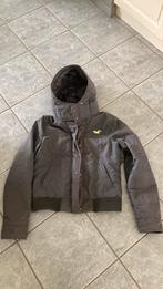 Jas HOLLISTER maat L, Kleding | Dames, Ophalen of Verzenden, Maat 42/44 (L)