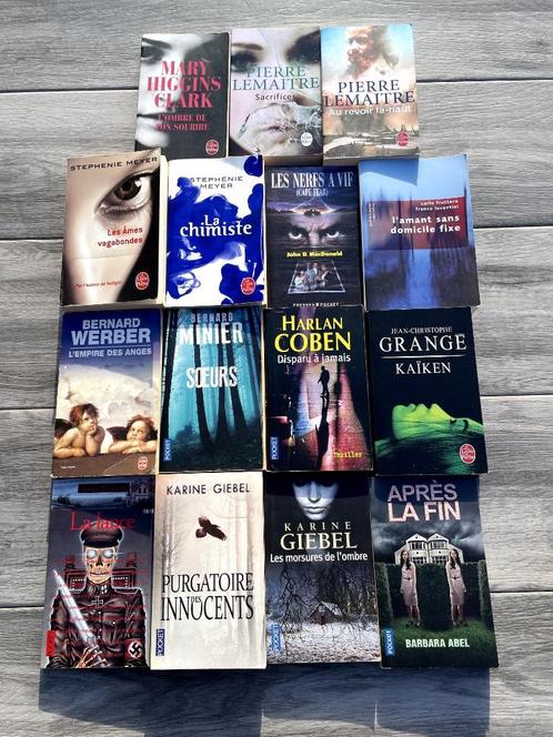 Livres en lot ou à la pièce Lemaitre, Meyer, Coben, Grangé,, Boeken, Romans, Ophalen of Verzenden