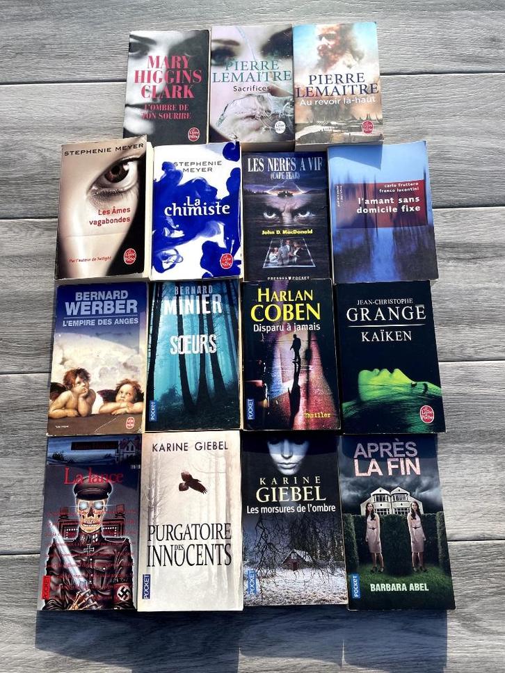Livres en lot ou à la pièce Lemaitre, Meyer, Coben, Grangé,, Boeken, Romans, Ophalen of Verzenden
