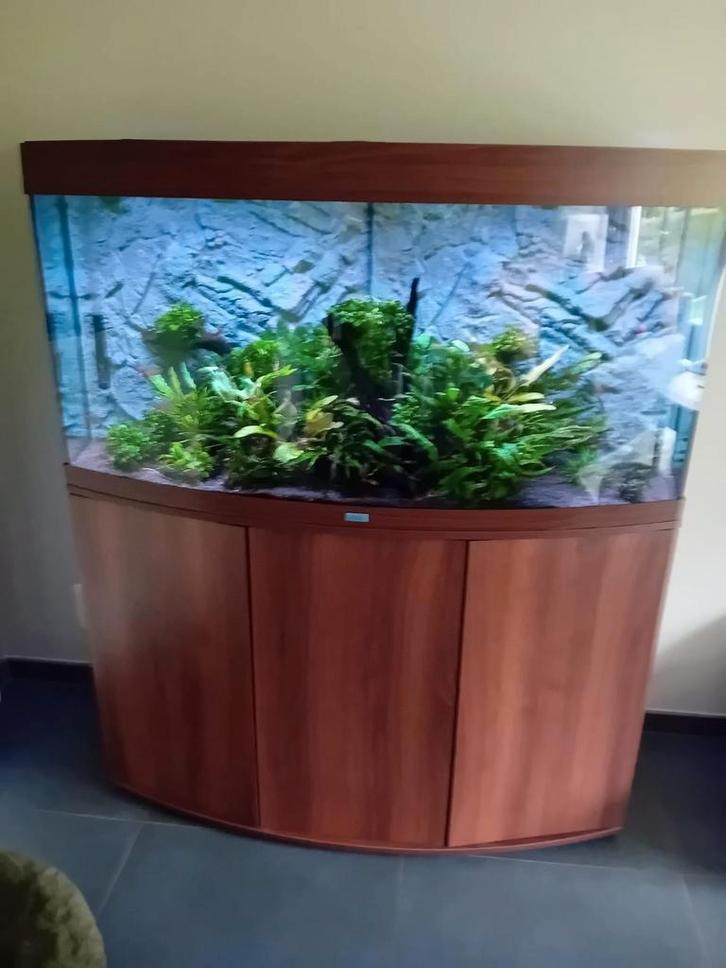 Juwel aquarium, Dieren en Toebehoren, Vissen | Aquaria en Toebehoren, Nieuw, Gevuld zoetwateraquarium, Ophalen