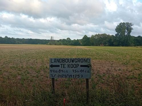 2 naast elkaar gelegen biologische landbouwgronden, Immo, Gronden en Bouwgronden