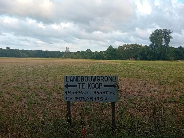 2 naast elkaar gelegen biologische landbouwgronden, Immo, Gronden en Bouwgronden