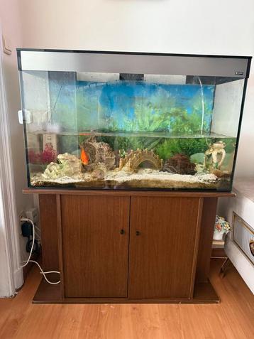 Aquarium 230 L compleet + meubilair - 400€, Dieren en Toebehoren, Ophalen, Zo goed als nieuw, Sierelement