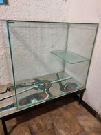 Aquarium voor vissen of schildpadden, Dieren en Toebehoren, Ophalen, Zo goed als nieuw