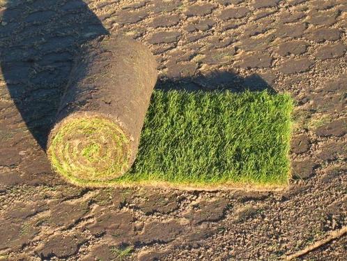 Graszoden, grasmatten, gazonzoden, zoden, rolzoden, gras, Tuin en Terras, Gras en Kunstgras, Nieuw, Gras, 20 m² of meer, Ophalen of Verzenden