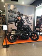 Harley Davidson, 2 cilinders, Handvatverwarming, Particulier, Meer dan 35 kW