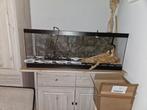Terrarium te koop, Animaux & Accessoires, Reptiles & Amphibiens