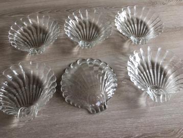 6 stevige glazen st jacobsschelpen voor 10€ beschikbaar voor biedingen