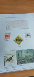 Thema verzameling vissen 35 pagina's, Enlèvement ou Envoi, Animal et Nature