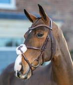 LeMieux Arika Grackle Hoofdstel Havana Bruin Full SALE!, Dieren en Toebehoren, Ophalen of Verzenden, Nieuw, Springen