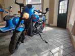 Harley Davidson Street Rod 750, Naked bike, Particulier, 2 cylindres, Plus de 35 kW