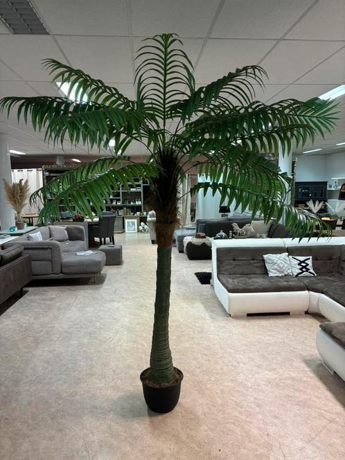 Kunst palmbomen KOOPJE!, Huis en Inrichting, Woonaccessoires | Kunstplanten en Kunstbloemen, Zo goed als nieuw, Ophalen