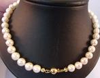 nieuw wit parelcollier met 14 karaat gouden slot, Verzenden, Wit, Nieuw, Met edelsteen