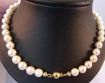 nieuw wit parelcollier met 14 karaat gouden slot beschikbaar voor biedingen