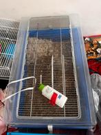 Dwerghamster kooien, Kooi, Gebruikt, Minder dan 75 cm, Hamster