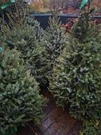 Kerstbomen, Tuin en Terras, Ophalen