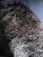 gratis vers paardenmest., Tuin en Terras, Aarde en Mest, Ophalen, Mest