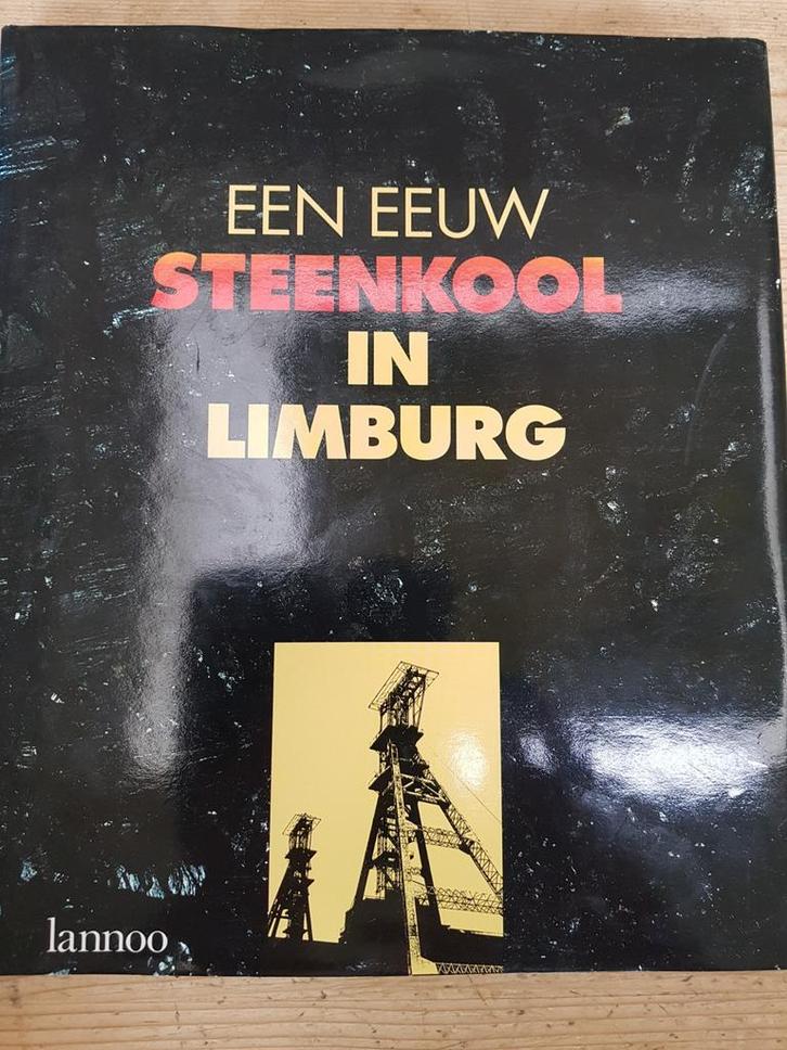 Een eeuw steenkool in limburg. Lannoo 1992 hc Minten, Raskin, Boeken, Overige Boeken, Zo goed als nieuw, Ophalen of Verzenden