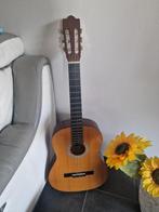 Gitaar, Muziek en Instrumenten, Ophalen, Gebruikt