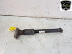 AMORTISSEUR ARRIÈRE GAUCHE 3 serie (F30) (|33526873802|), Utilisé, BMW