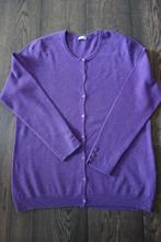 Gilet cachemire mauve chiné "Atelier GS" Envoi compris, Kleding | Dames, Atelier GS, Verzenden, Gedragen