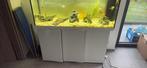 Aquaruim 180l, Animaux & Accessoires, Poissons | Aquariums & Accessoires, Enlèvement