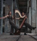 Harp optredens / harpiste, Muziek en Instrumenten, Snaarinstrumenten | Harpen, Ophalen