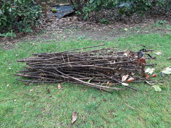 Houtpartijtje  -  Brandhout  -  Vuurkorf  -  Aanmaakhout, Zakelijke goederen, Overige Zakelijke goederen, Ophalen