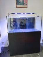 Aquarium récifal red sea 425 de 2022 à vendre, Ophalen, Zo goed als nieuw, Leeg aquarium
