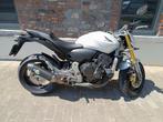 Honda 600 Honda 600 hornet, Motoren, Motoren | Honda, Particulier