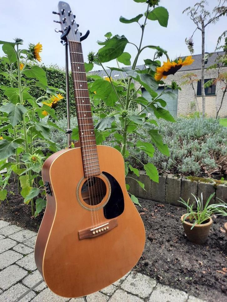 Seagull s6+gt, Muziek en Instrumenten, Snaarinstrumenten | Gitaren | Akoestisch, Zo goed als nieuw, Western- of Steelstringgitaar