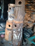 Nest blok boomstam broeden parkieten