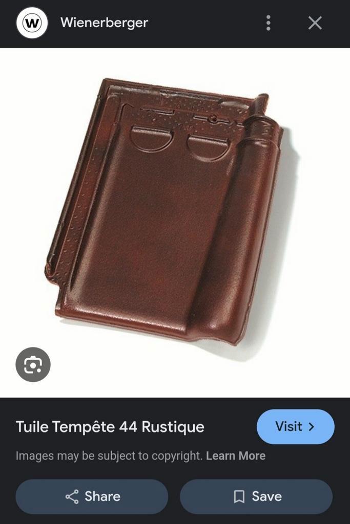 Tuiles Tempête Pottelberg à double emboîtement-autres, Bricolage & Construction, Tuiles & Revêtements de toit, Neuf, Tuiles, Enlèvement