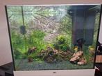 Aquarium 200L ..Juwel lido, Enlèvement, Comme neuf