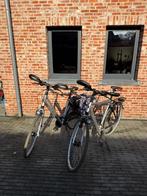 Damesfiets Koga - Maat 50, Fietsen en Brommers, Versnellingen, Zo goed als nieuw, 50 tot 53 cm, Ophalen