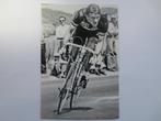 repro wielerfoto  1977 team flandria  freddy maertens, Comme neuf, Envoi